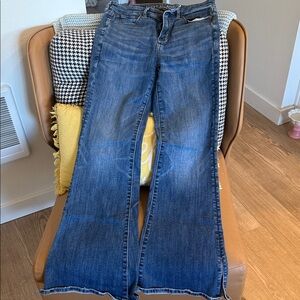 American Eagle Outfitters Blue Flare Jeans